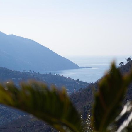 Villa Le Macine Molino Nuovo  Eksteriør billede